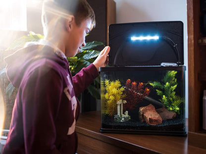 The Interpet Deltatherm 200W Aquarium Heater
