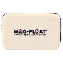 Fish R Fun Mag-Float Mini Floating Magnet