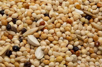 Bucktons Budgie 50/50 Bird Seed Mix 20kg Bulk Bag