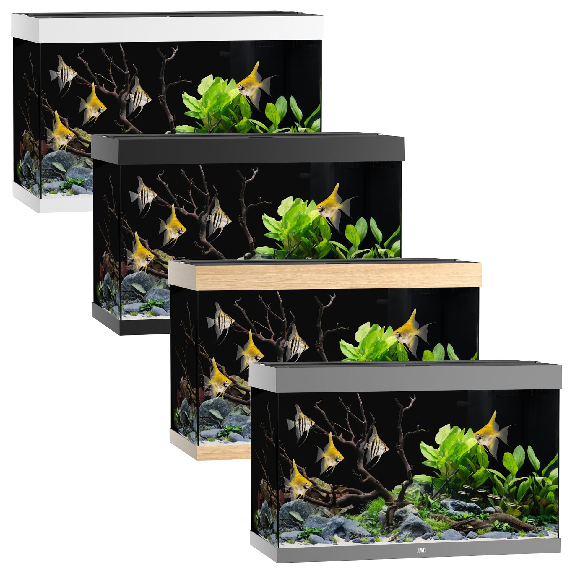 Juwel Rio 290 LED Aquarium Only