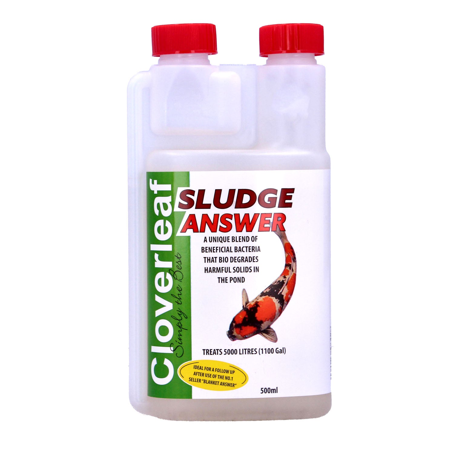 Cloverleaf Sludge Answer