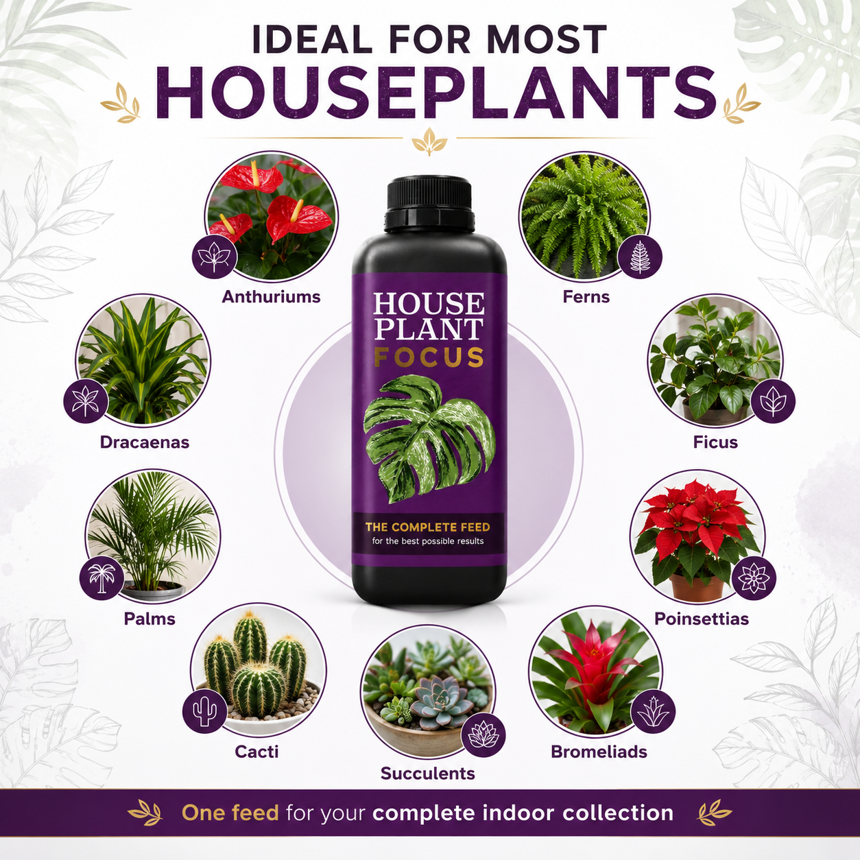 Growth Technology House Plant Focus 1L 