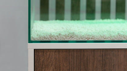 Shallow Aquascape 80 Aquarium