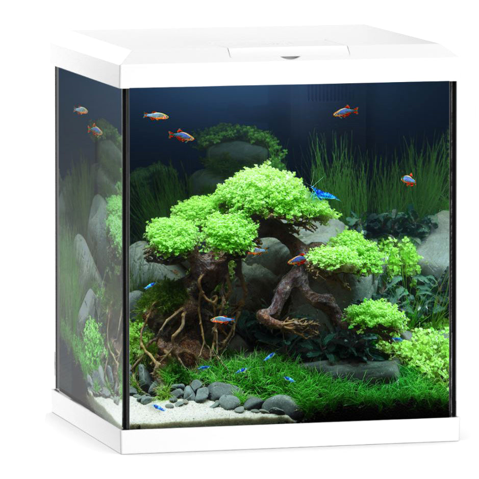  Juwel 54 L Vio Cube Aquarium Fish Tank Set with LED Lighting Filter and Heater