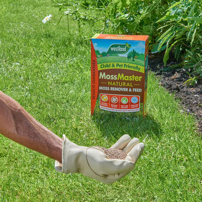 Westland Moss Master Lawn Feed & Moss Remover 80m² Natural Treatment