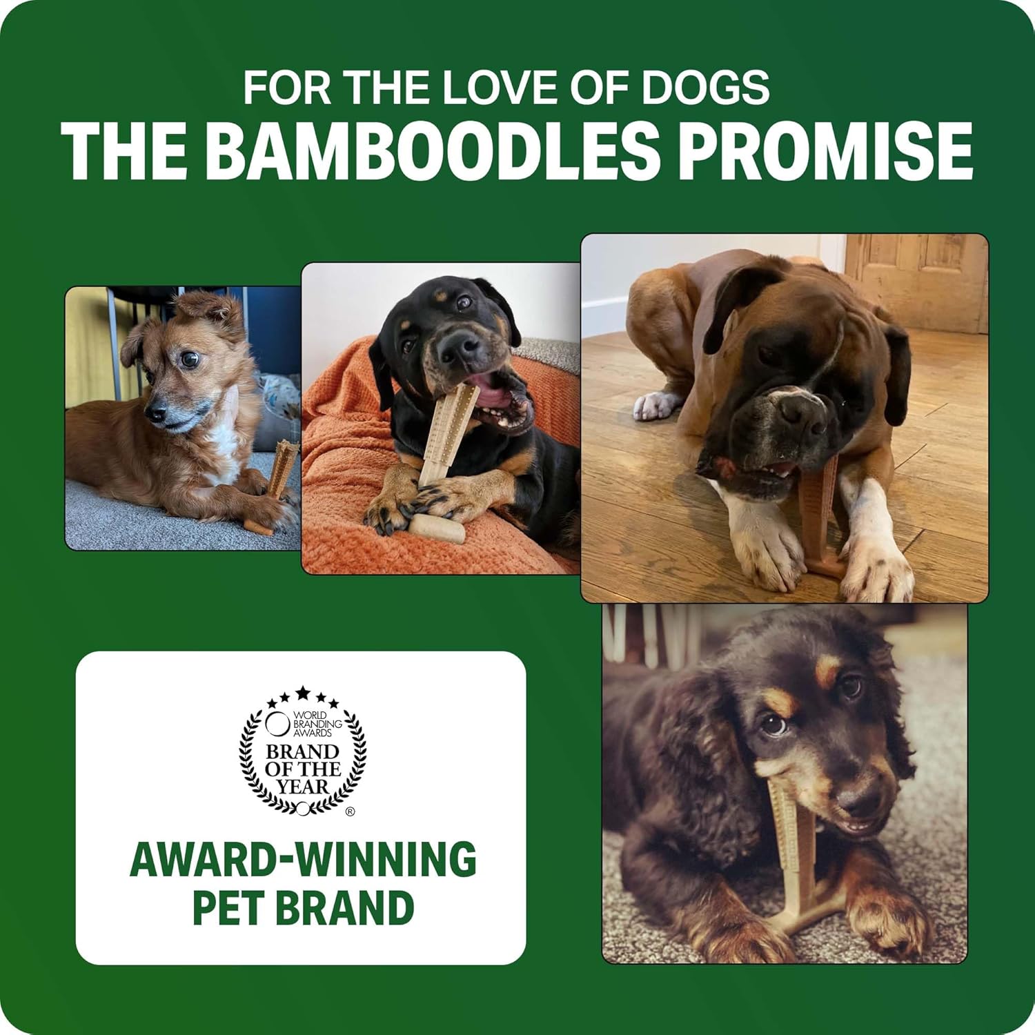 Bamboodles T-Bone Dog Chew Toy – Large Beef Flavour Durable Chew