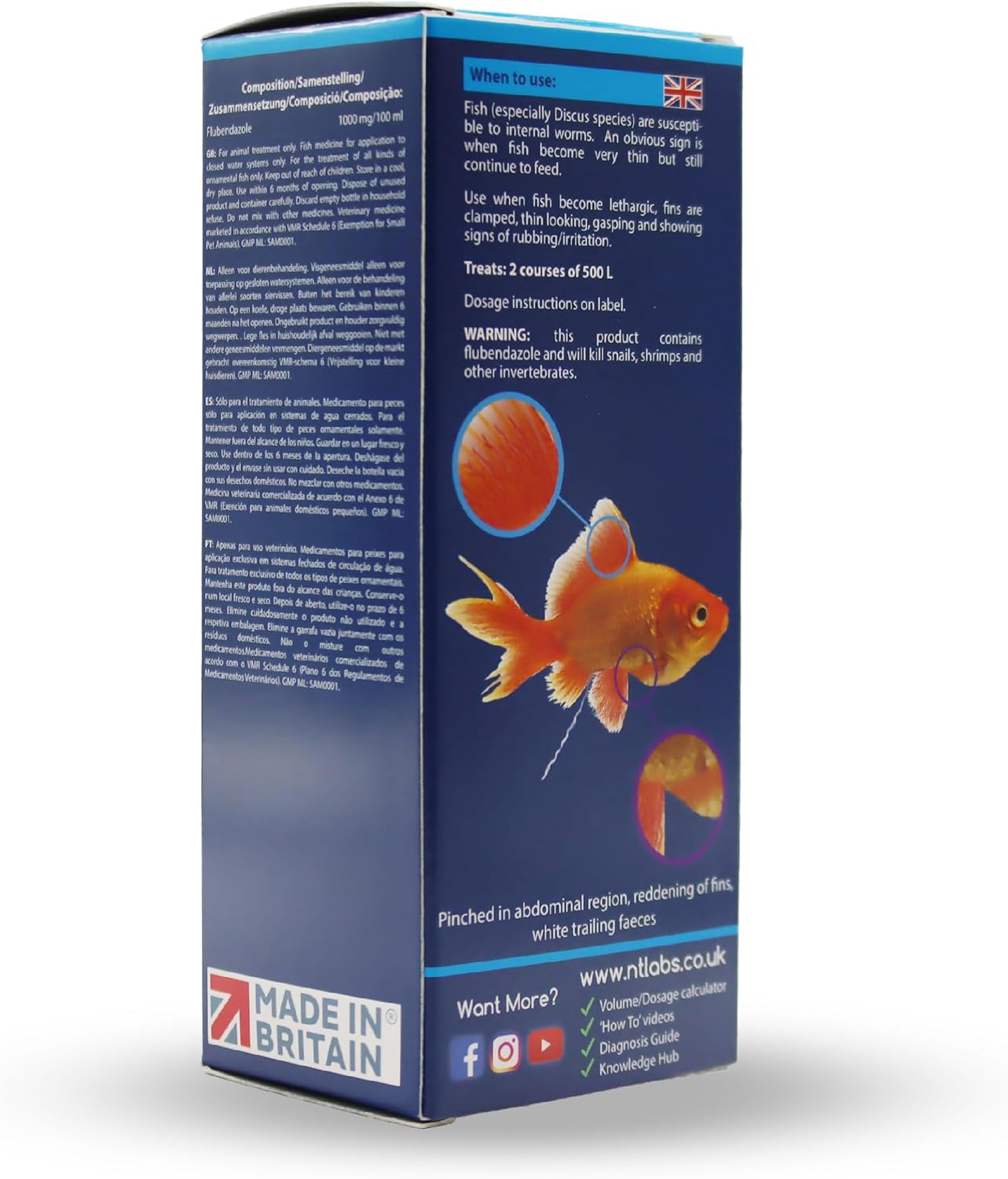 NT Labs Anti-Fluke & Wormer Aquarium Fish Tank Disease Treatment