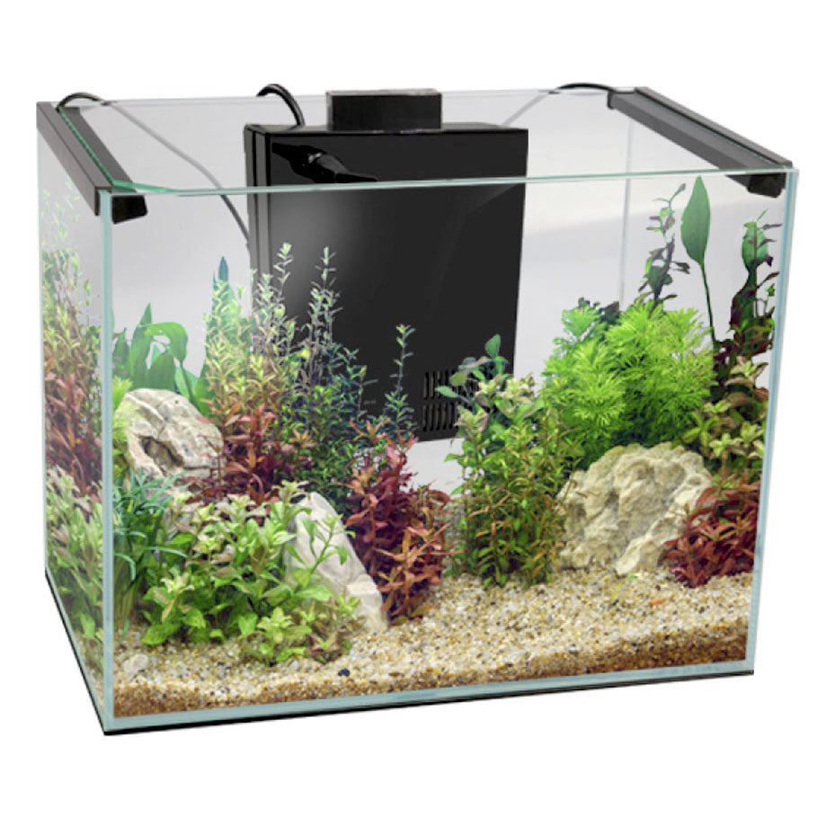 Aqua One AquaLume 25 Glass Fish Tank 25L