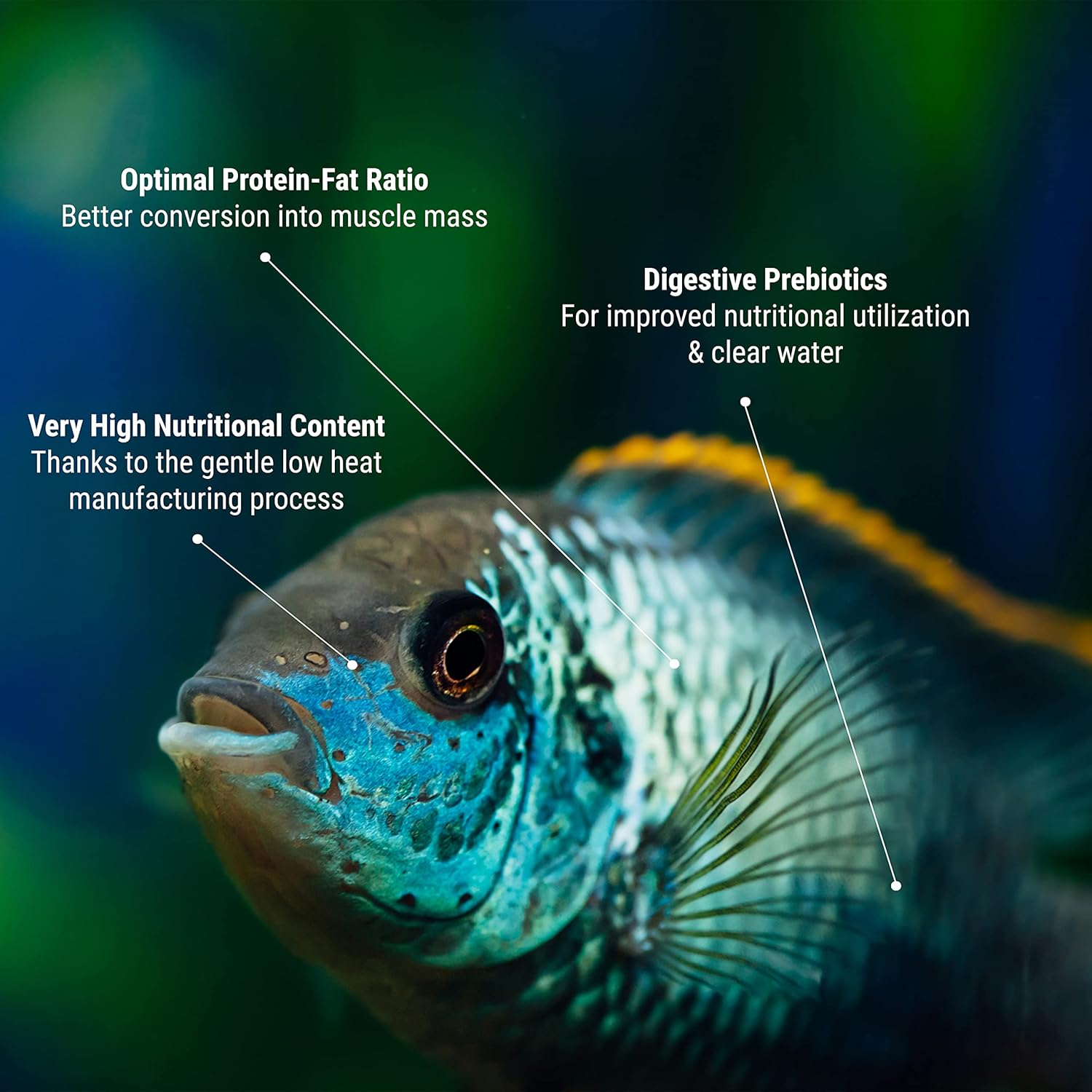 Tetra Pro Colour Multi-Crisps 10L