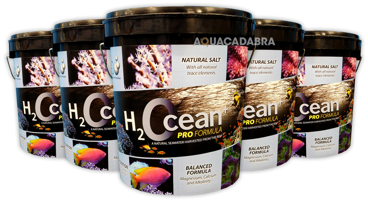 D-D H2Ocean Pro+ Marine Reef Aquarium Salt 6.6kg 23kg Multi Pack Buckets