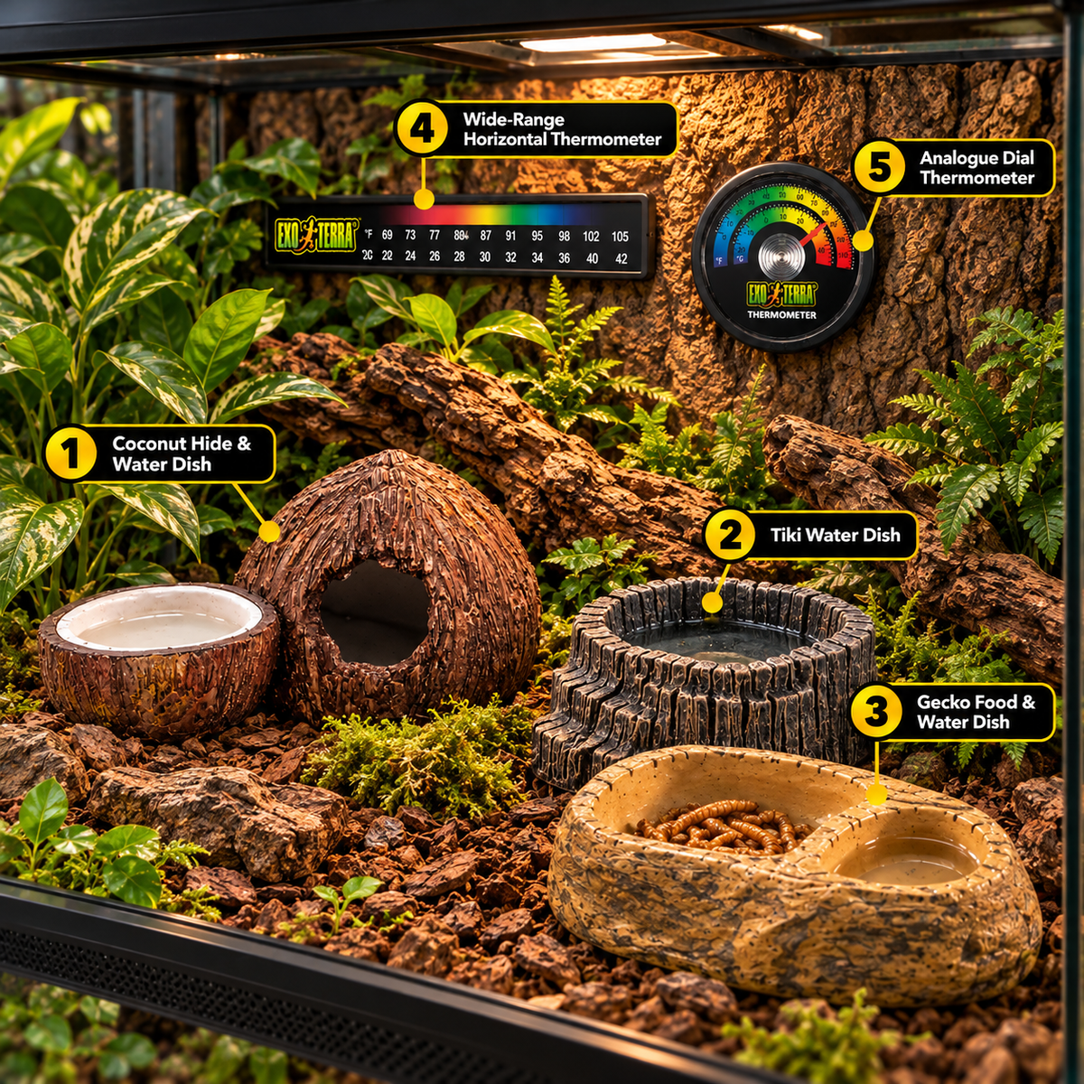 Exo Terra Reptile Habitat Essentials Bundle 5 Piece Gecko Dishes Thermometers