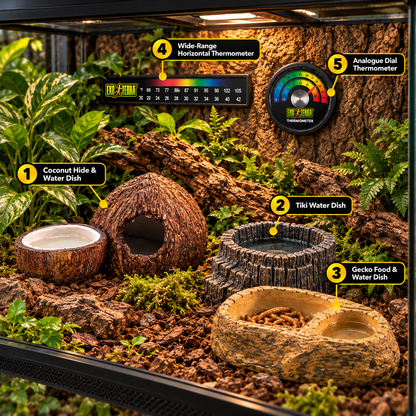 Exo Terra Reptile Habitat Essentials Bundle 5 Piece Gecko Dishes Thermometers