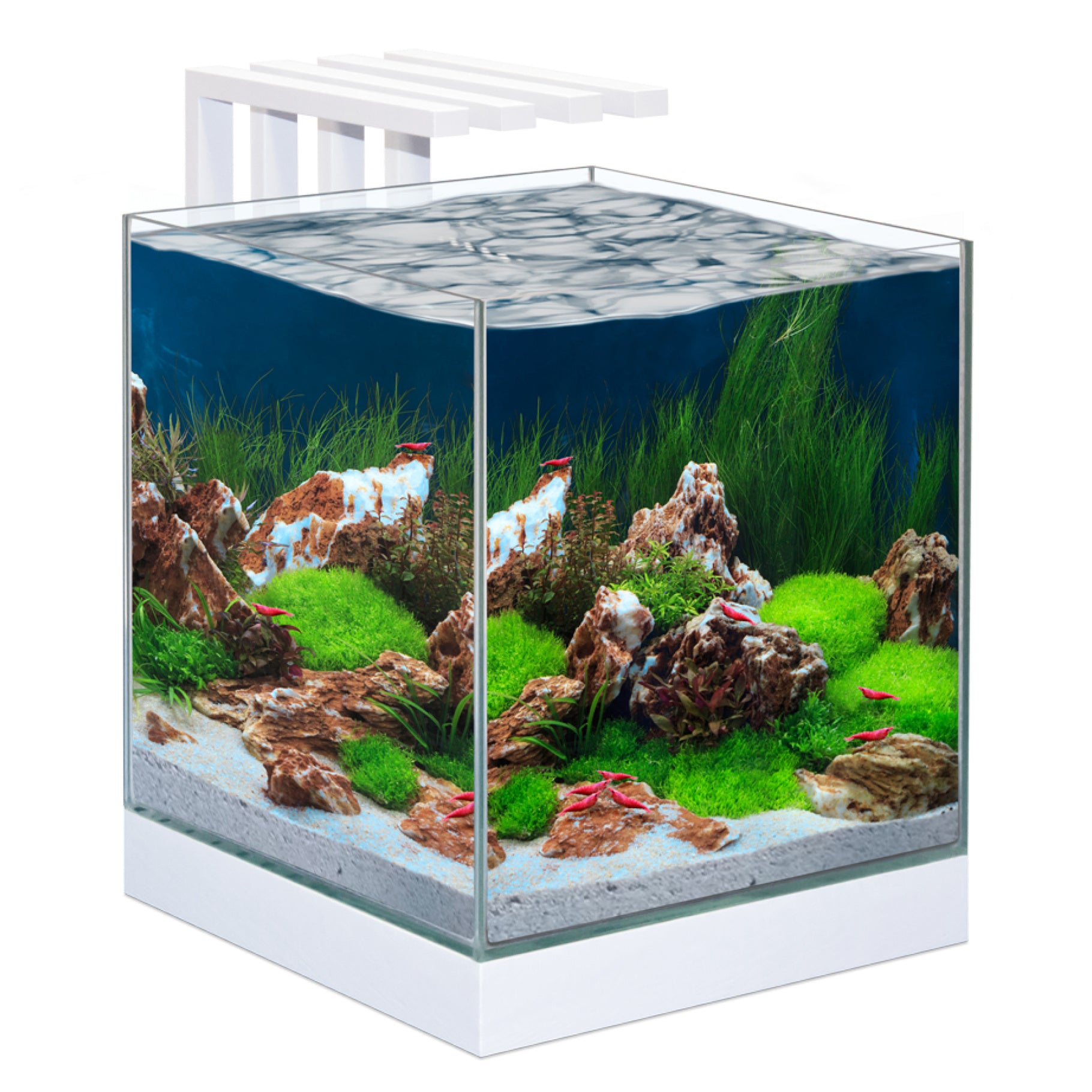 Ciano Nexus Pure 25 Shrimp Aquarium 22L