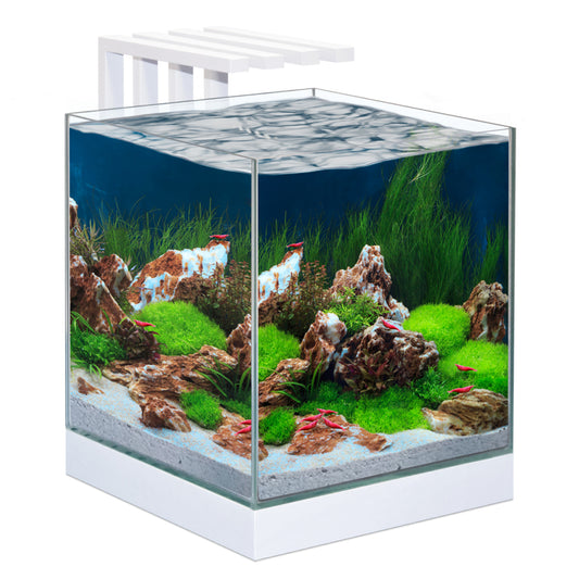 Ciano Nexus Pure 25 Shrimp Aquarium 22L