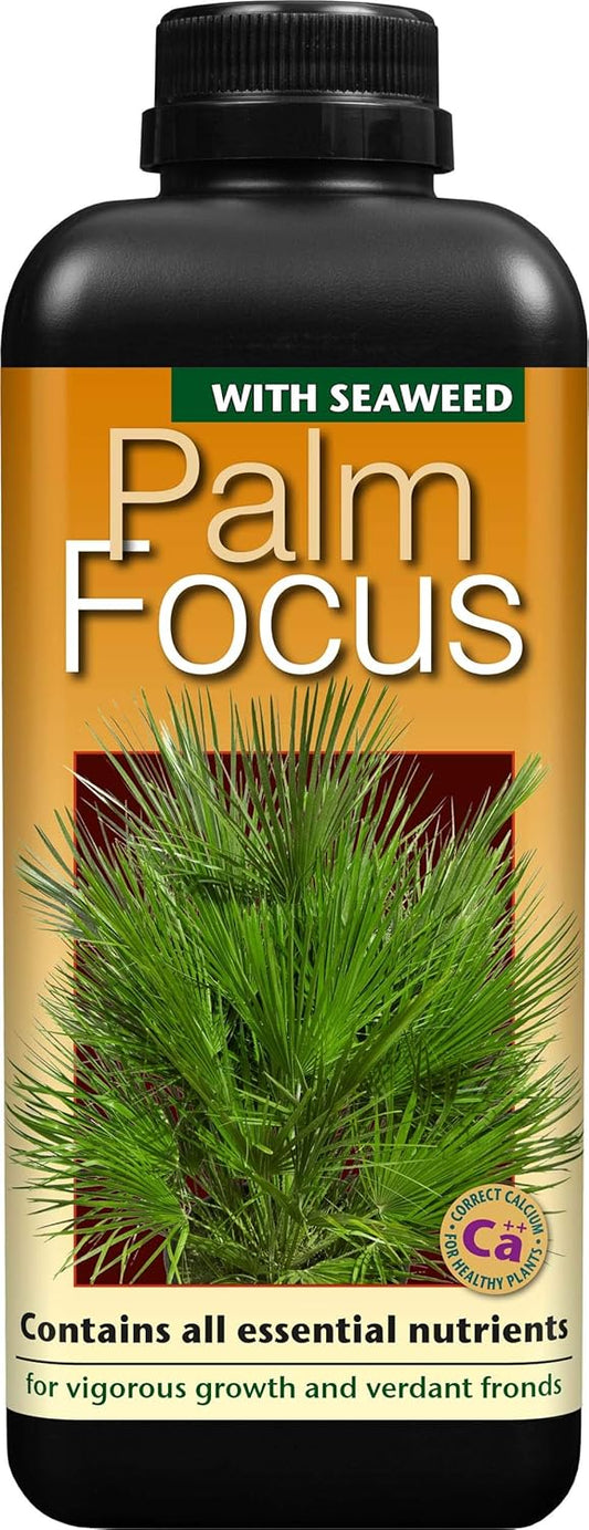 Palm Tree Fertiliser Feed For Healthy Vigorous Growth 1000 ml Palm Focus Garden