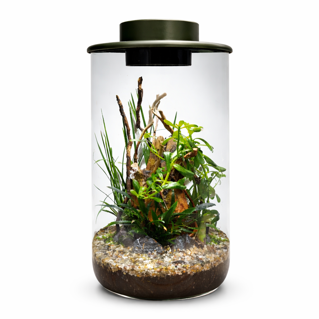 BioArt Cylinder 285 Black Nano Garden – 4L LED Plant Terrarium Dome