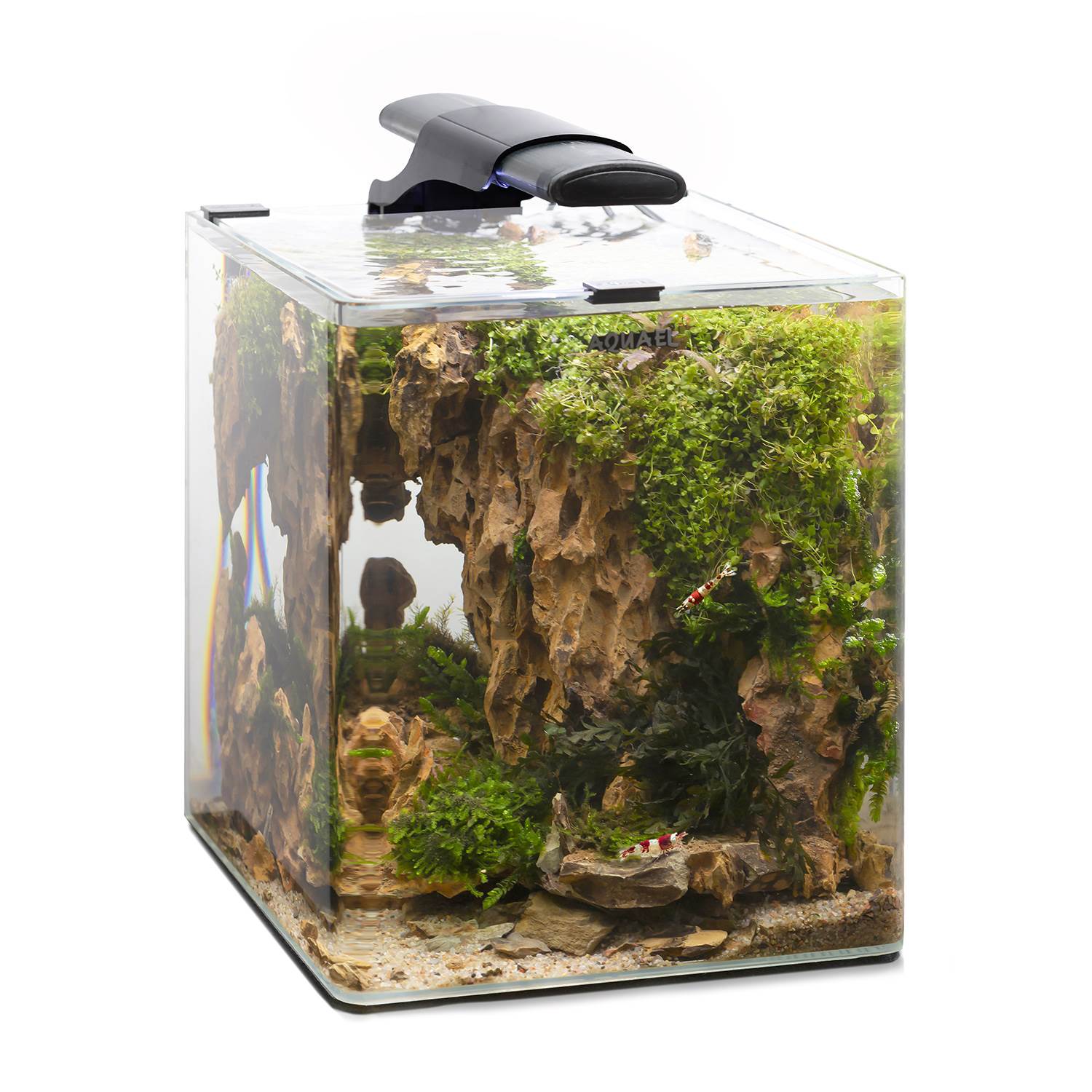 Aquael Optibent 20 Aquarium