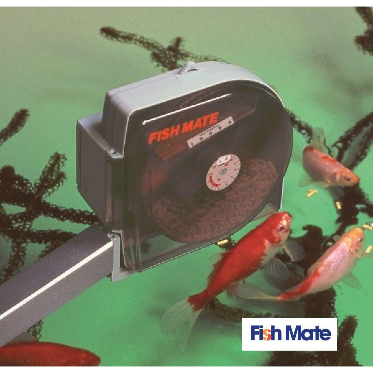 Fish Mate P21 Pond Fish Feeder