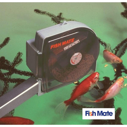 Fish Mate P21 Pond Fish Feeder