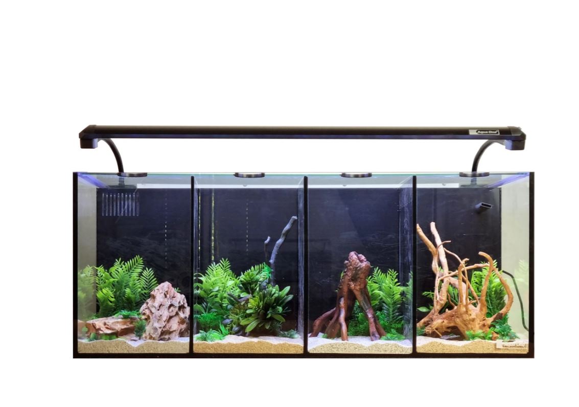 Aqua One Betta Quad 60L Fish Tank | 4-in-1 | LED Lighting – Aquacadabra