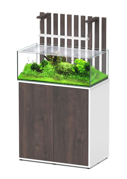 Shallow Aquascape 80 Aquarium