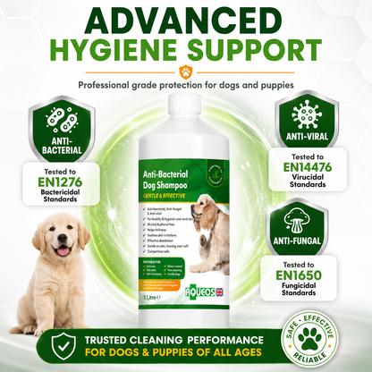 Aqueos Medicated Dog Shampoo 1 Litre Anti Fungal Bacterial Viral Itch Relief