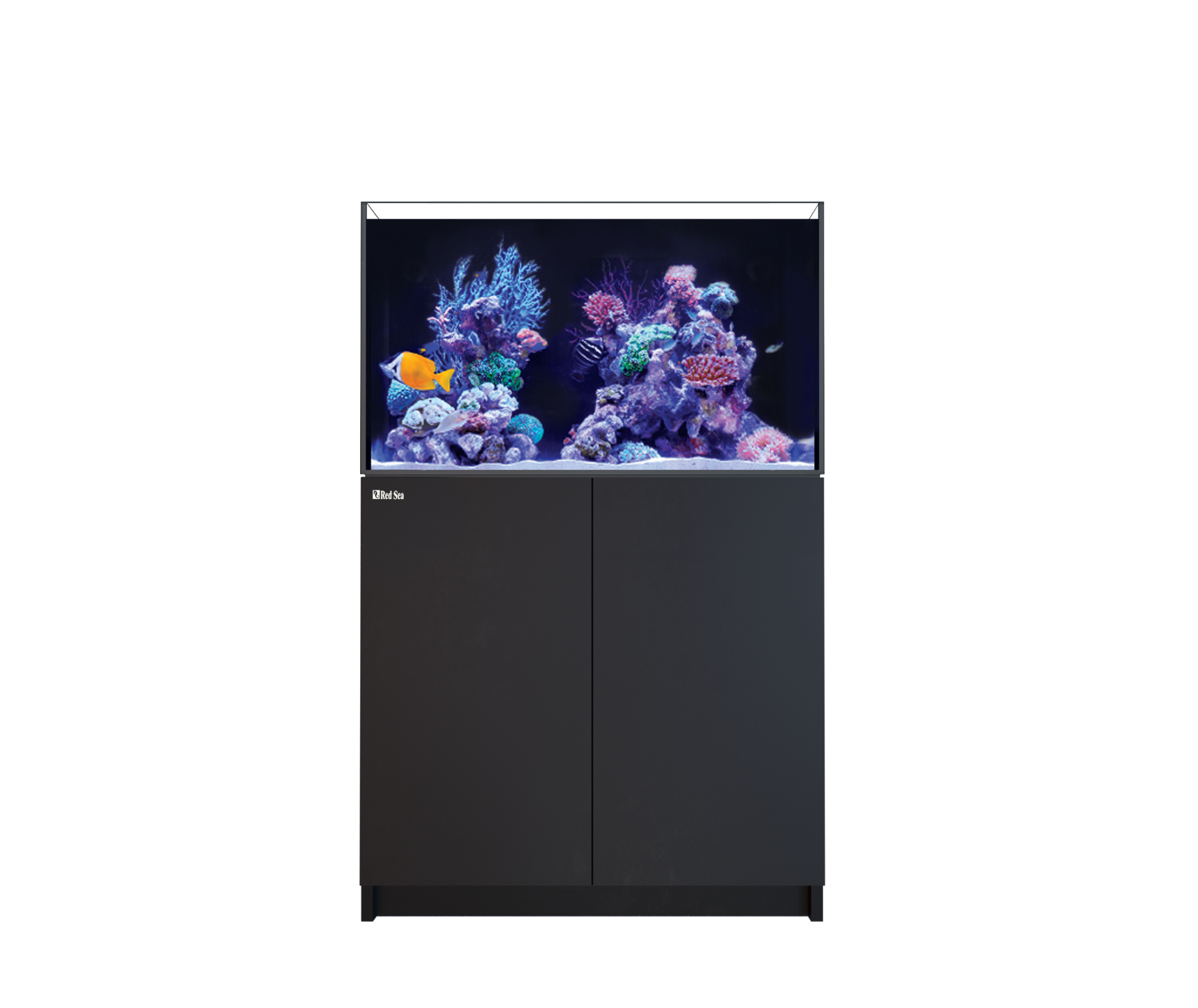 Red Sea Reefer 250 G3 Aquarium