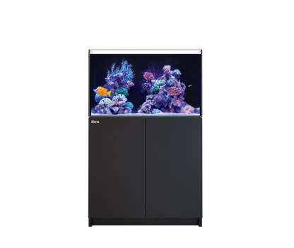 Red Sea Reefer 250 G3 Aquarium