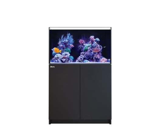 Red Sea Reefer 250 G3 Aquarium