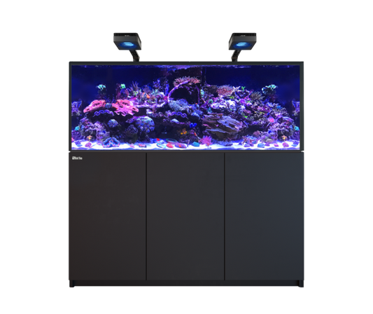 Red Sea Reefer MAX 625 G3 Aquarium