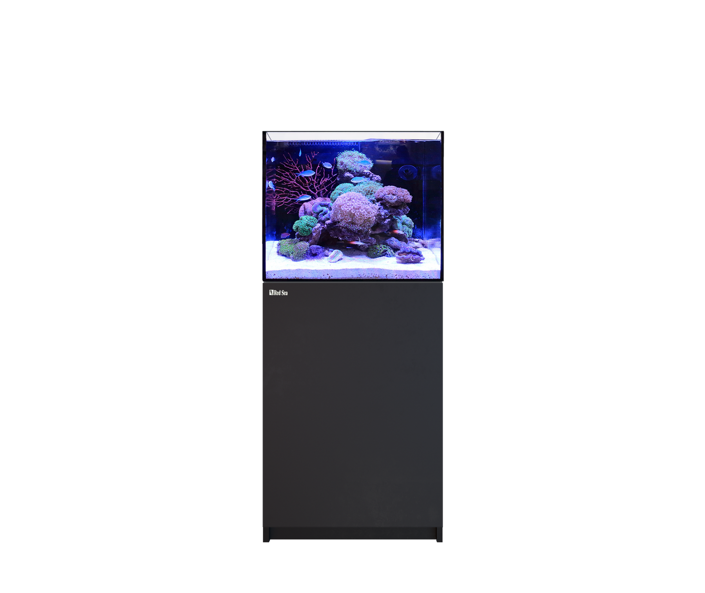 Red Sea Reefer 170 G3 Aquarium