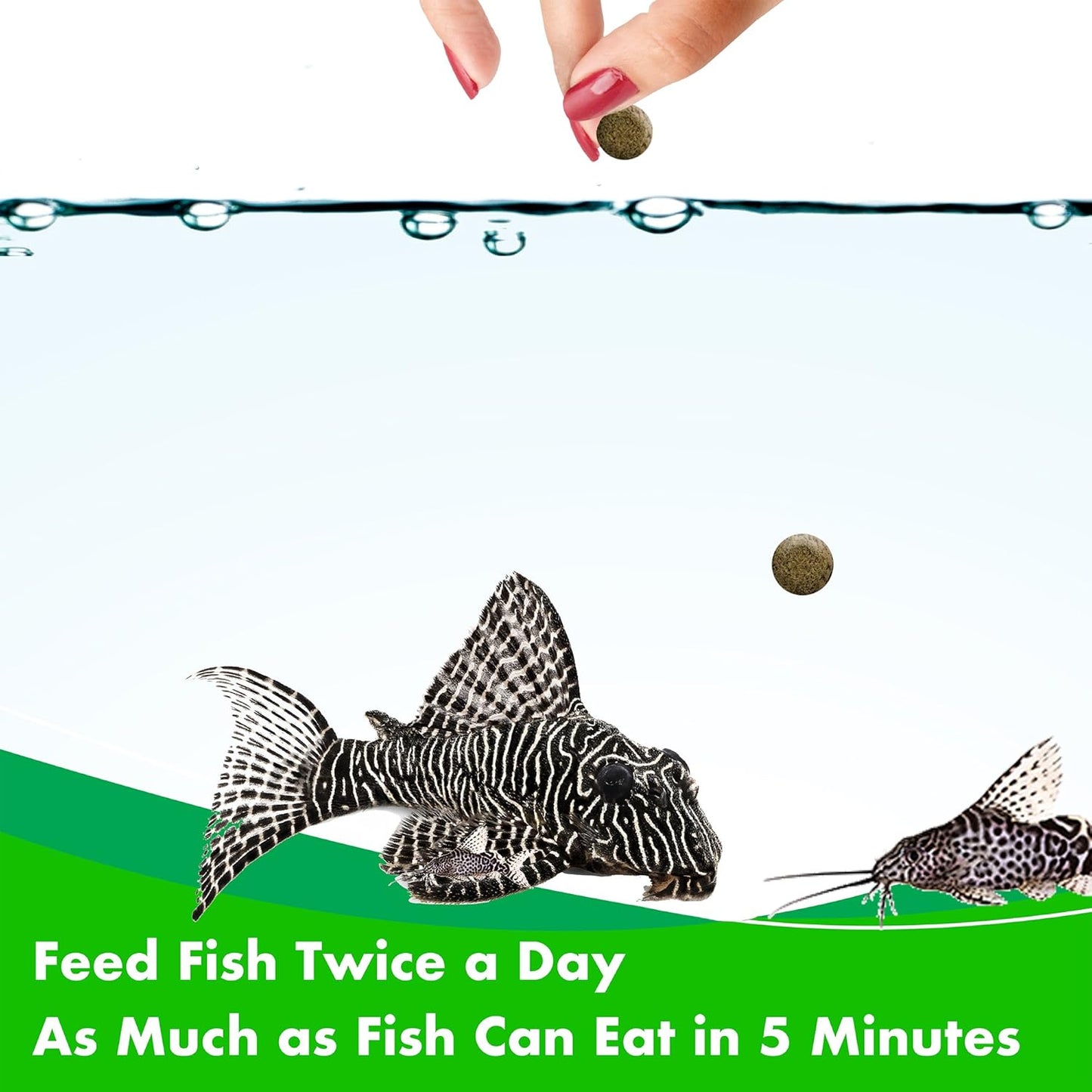 Aquarian Algae Wafer Bottom Feeding Fish