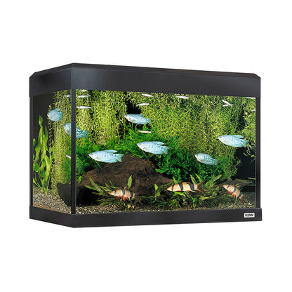 Fluval Roma 90L Aquarium