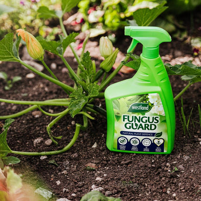 Westland Fungus Guard Spray RTU 800ml Crop Plant Protection Disease