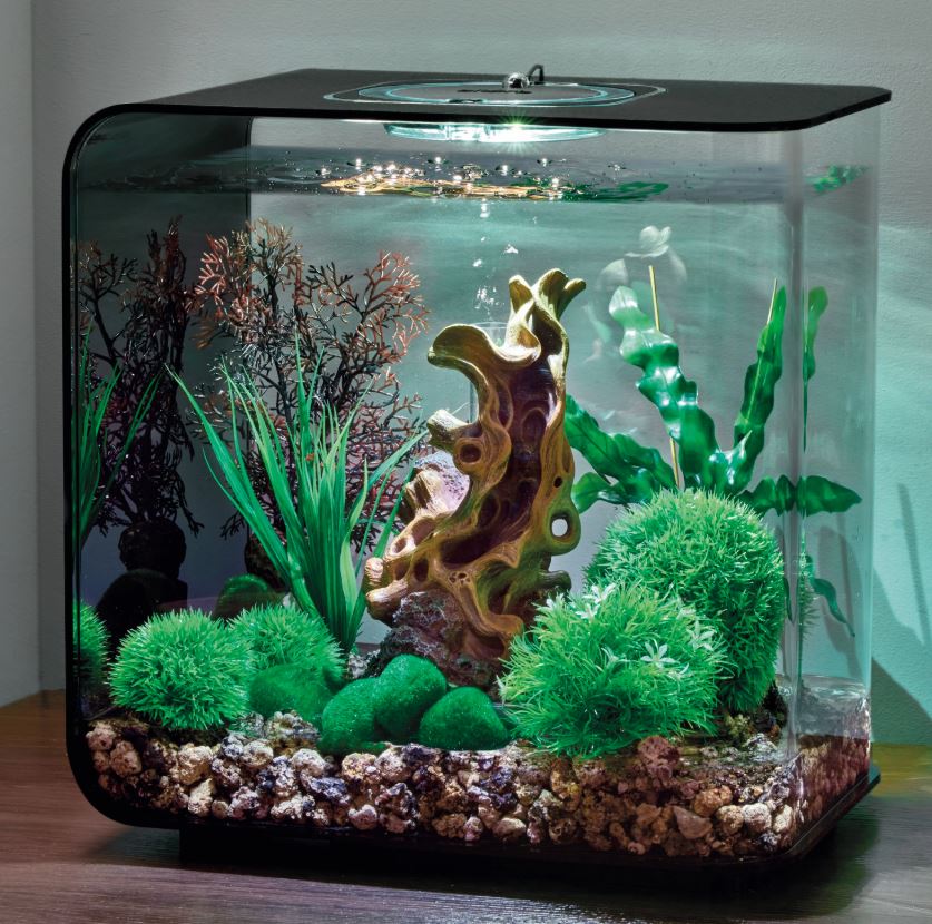 biorb fish tank accessories uk Stone Garden Easy Decor Kit, 30 Liter The biOrb Easy Dcor Kit contains some aquarium decorations to bring your 8 gallon biOrb to life Fairy Tale Dcor Set