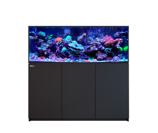 Red Sea Reefer 525 G3 Aquarium