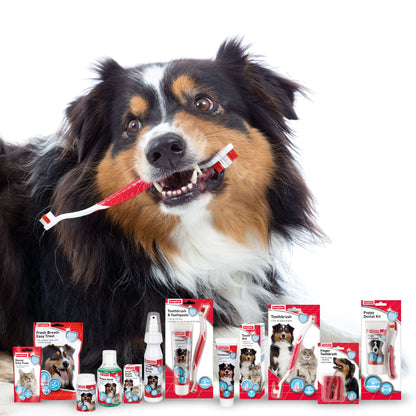 Beaphar Toothpaste for Cat & Dogs