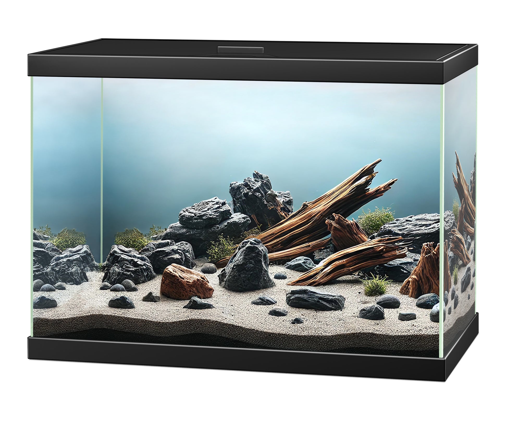 Ciano Aqua 15 Aquarium Black White 13 litre Starter Fish Tank Filter and Lid