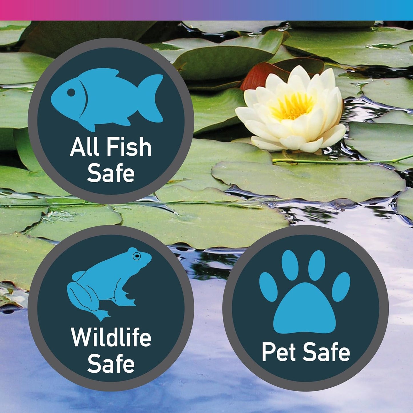 Nt Labs Pond Black Pond Dye 250ml 