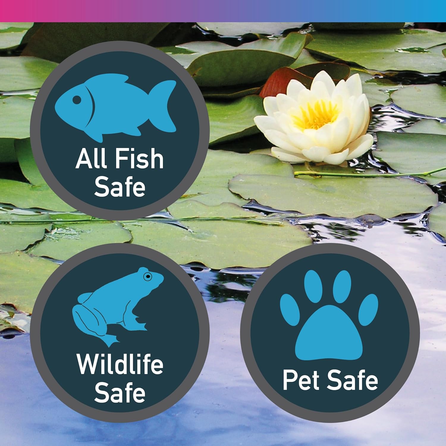 Nt Labs Pond Black Pond Dye 250ml 