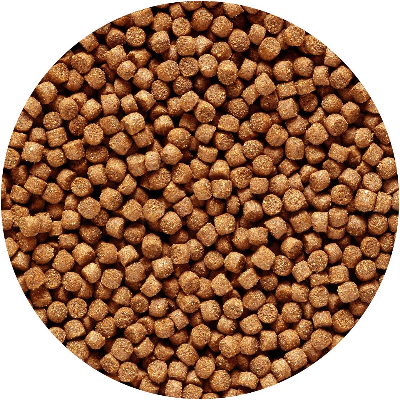 Hikari Cichlid Gold Sinking Medium Pellets (Low Date)