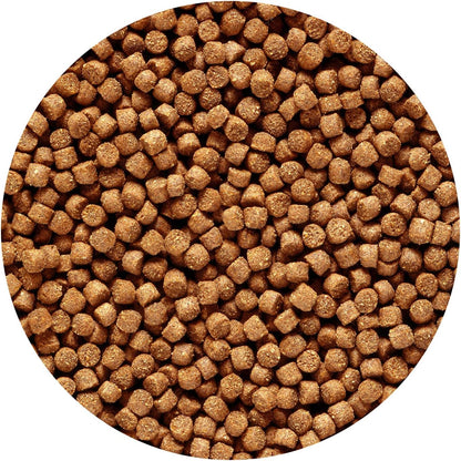 Hikari Cichlid Gold Sinking Medium Pellets (Low Date)
