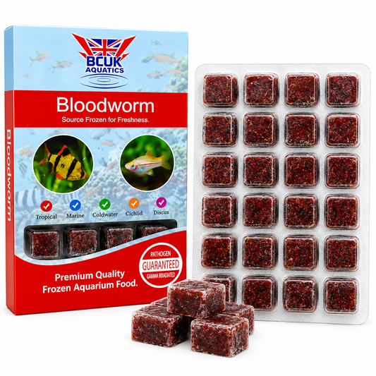 BCUK 100g Frozen Bloodworm – Natural Fish Prey