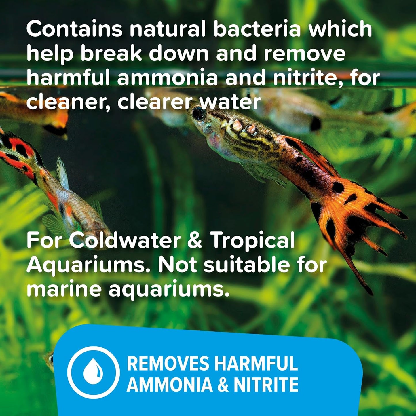 King British FilterAid Aquarium (Safe Water)
