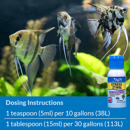 API Stress Zyme Bacteria Booster