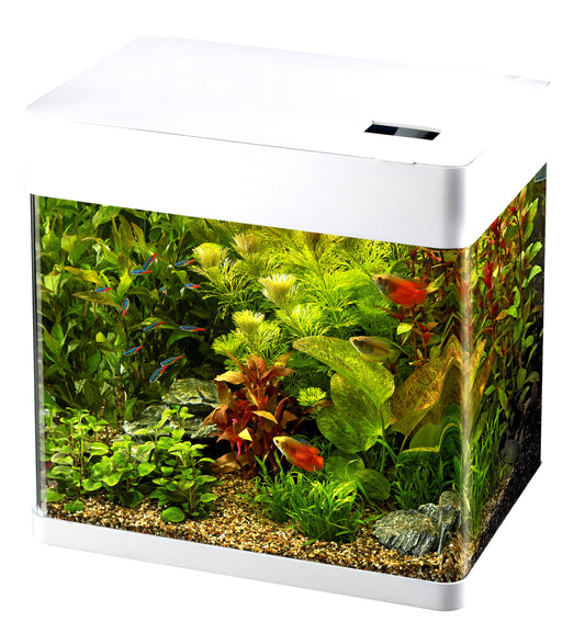 Superfish Panorama 50 White LED Aquarium 49L Fish Tank White