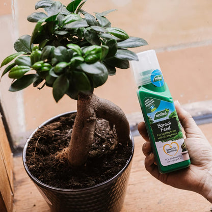 Westland Bonsai Potting Mix & Food