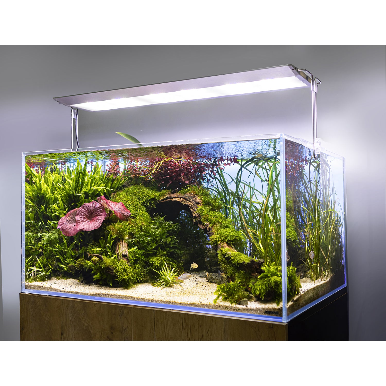 Aquarium lighting units hotsell