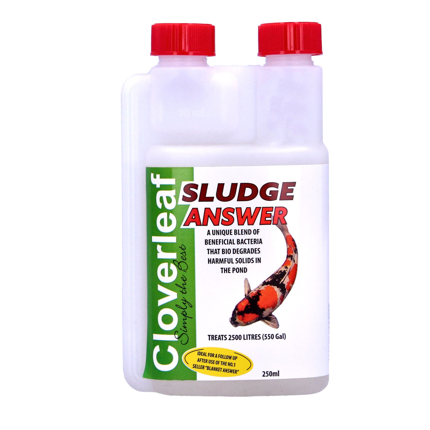 Cloverleaf Sludge Answer