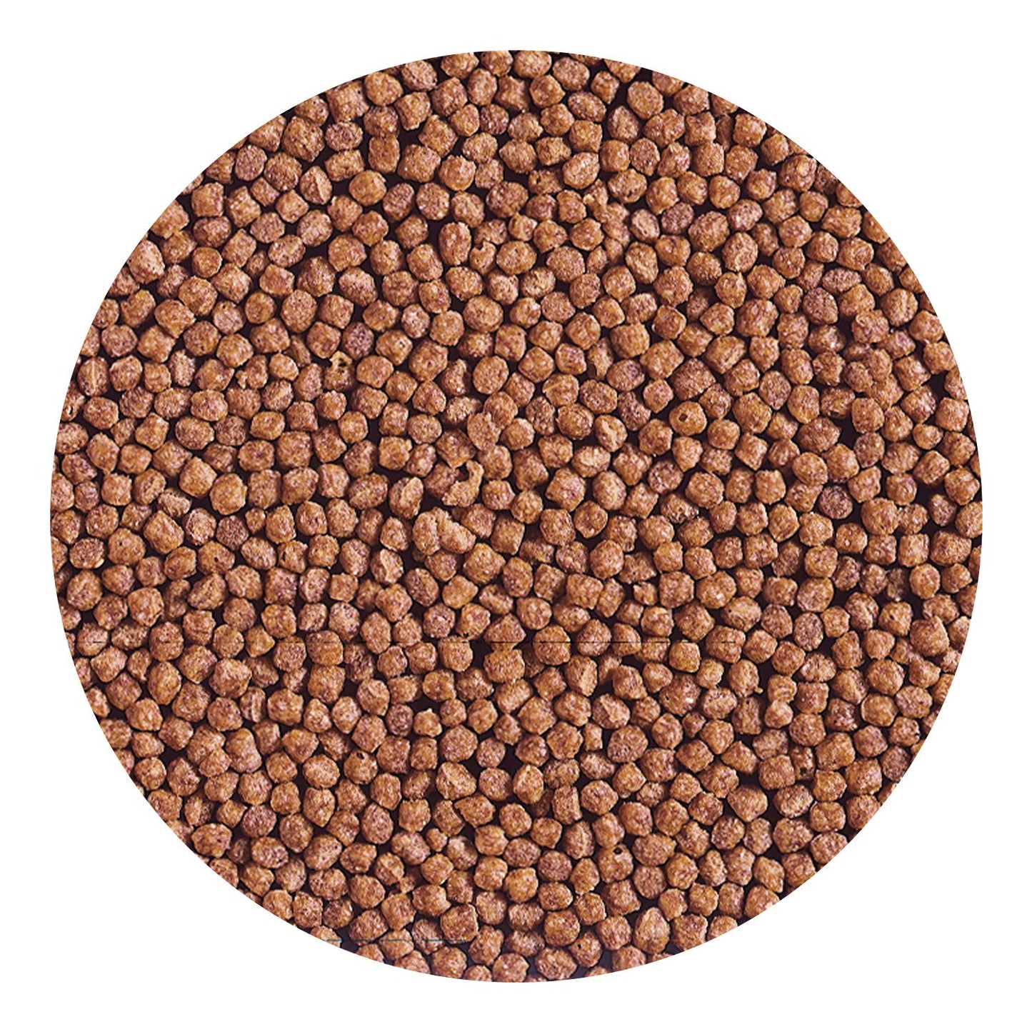 Hikari Cichlid Gold Medium Floating Large Pellets 250g x 3